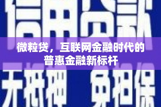 玉树微粒贷，互联网金融时代的普惠金融新标杆