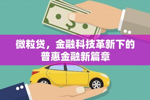 玉树微粒贷，金融科技革新下的普惠金融新篇章