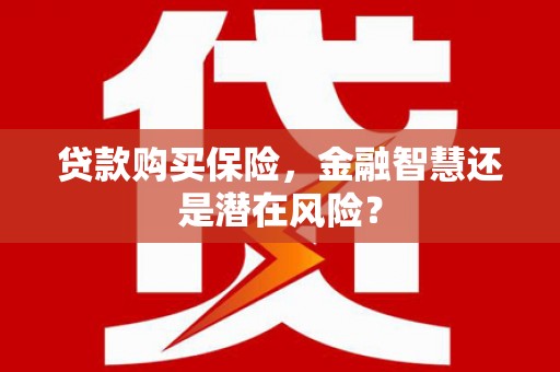 玉树贷款购买保险，金融智慧还是潜在风险？