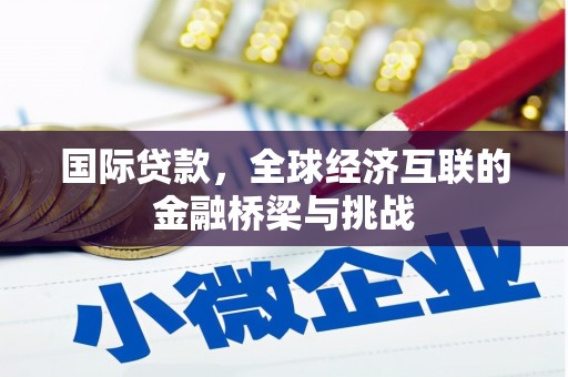玉树国际贷款，全球经济互联的金融桥梁与挑战