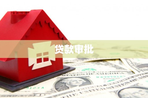 玉树贷款审批