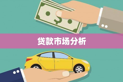 玉树贷款市场分析