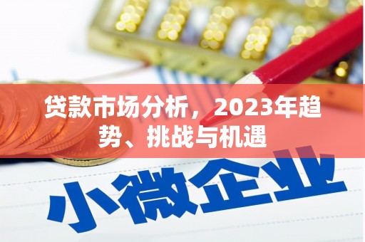 玉树贷款市场分析，2023年趋势、挑战与机遇