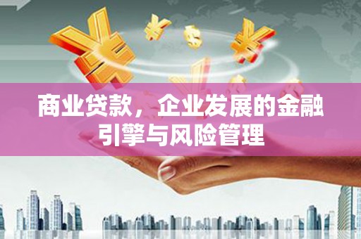 玉树商业贷款，企业发展的金融引擎与风险管理