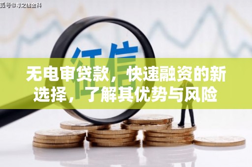 玉树无电审贷款，快速融资的新选择，了解其优势与风险
