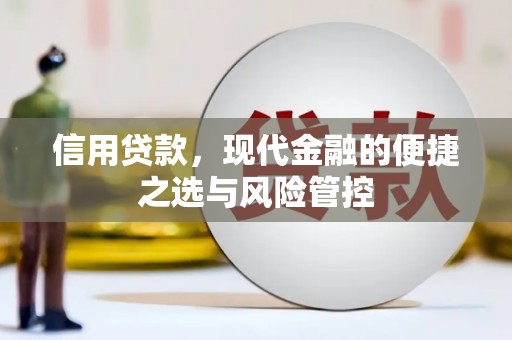 玉树信用贷款，现代金融的便捷之选与风险管控