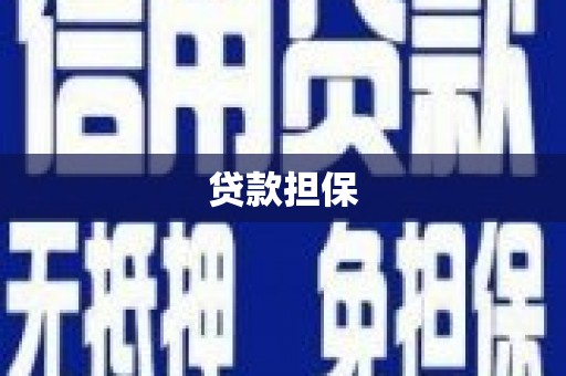 玉树贷款担保