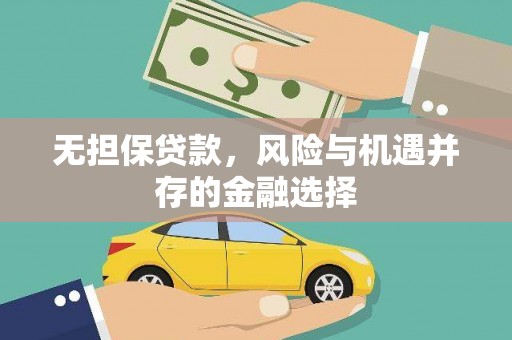 玉树无担保贷款，风险与机遇并存的金融选择