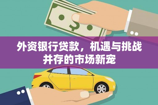玉树外资银行贷款，机遇与挑战并存的市场新宠