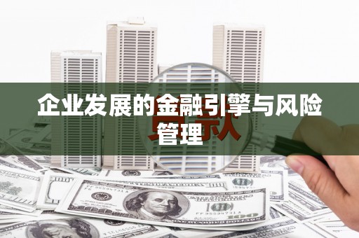 玉树企业发展的金融引擎与风险管理