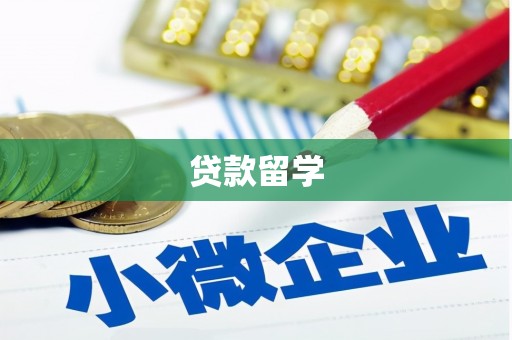 玉树贷款留学