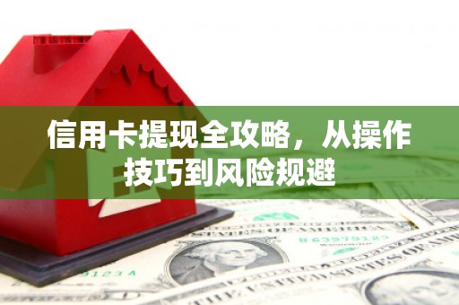玉树信用卡提现全攻略，从操作技巧到风险规避
