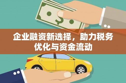 玉树企业融资新选择，助力税务优化与资金流动