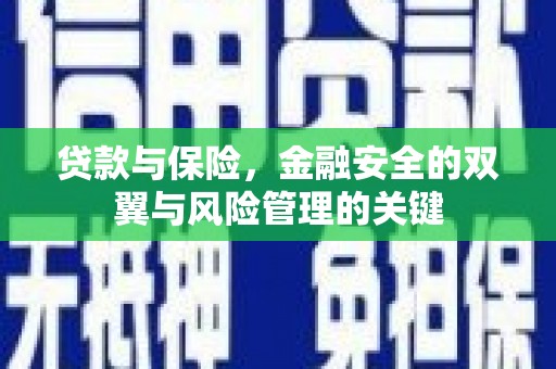 玉树贷款与保险，金融安全的双翼与风险管理的关键