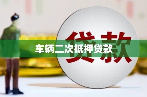 玉树车辆二次抵押贷款