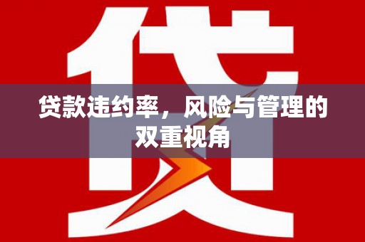 玉树贷款违约率，风险与管理的双重视角