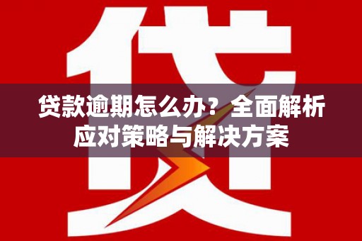 玉树贷款逾期怎么办？全面解析应对策略与解决方案