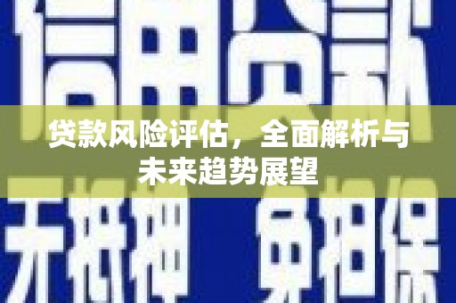 玉树贷款风险评估，全面解析与未来趋势展望