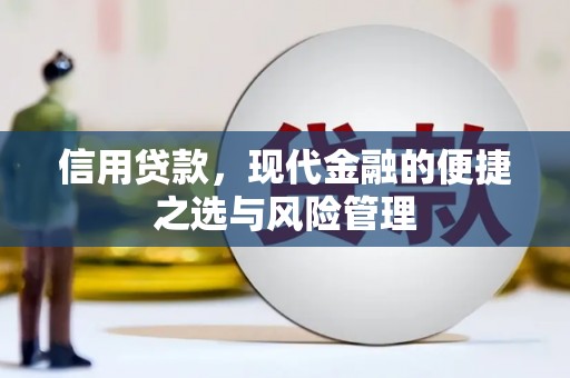 玉树信用贷款，现代金融的便捷之选与风险管理