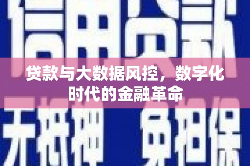 玉树贷款与大数据风控，数字化时代的金融革命