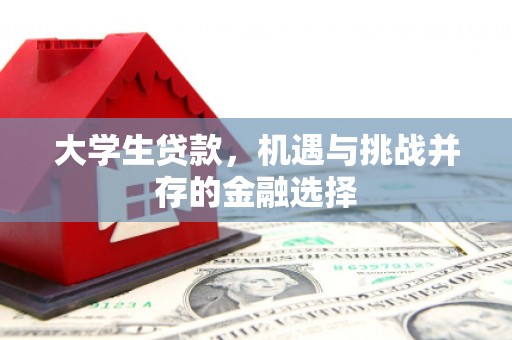 玉树大学生贷款，机遇与挑战并存的金融选择