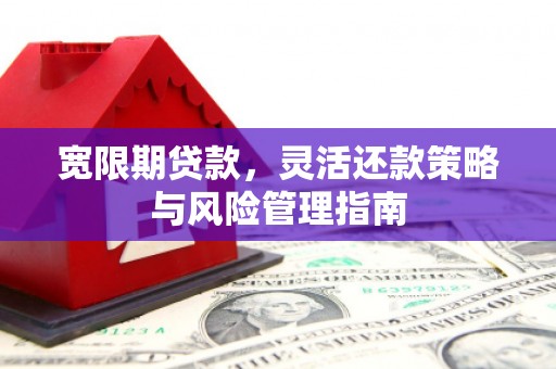 玉树宽限期贷款，灵活还款策略与风险管理指南