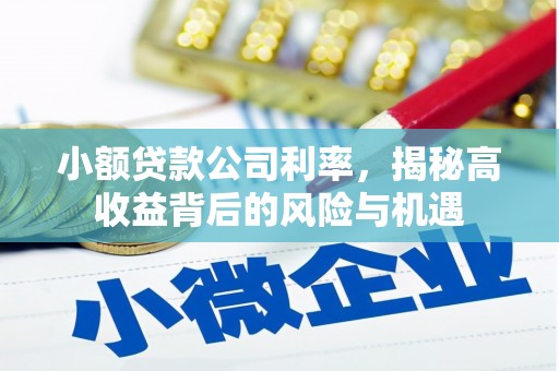 玉树小额贷款公司利率，揭秘高收益背后的风险与机遇