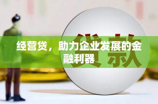 玉树经营贷，助力企业发展的金融利器