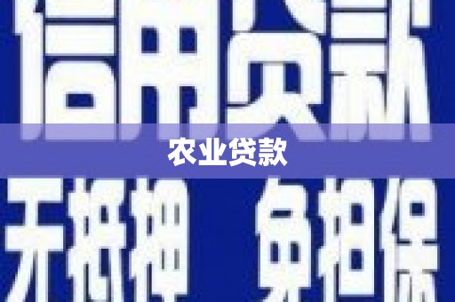 玉树农业贷款