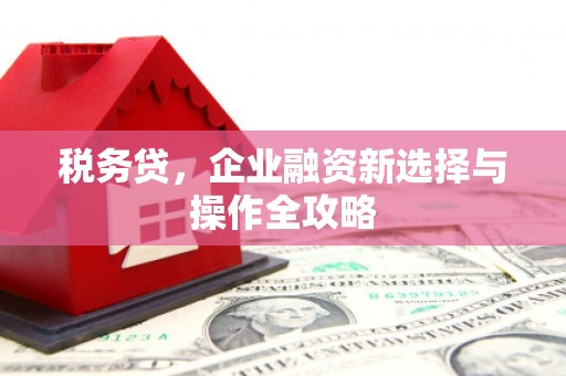 玉树税务贷，企业融资新选择与操作全攻略