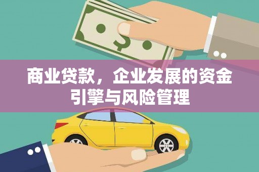 玉树商业贷款，企业发展的资金引擎与风险管理
