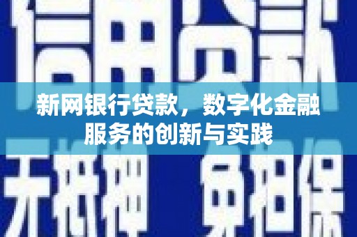 玉树新网银行贷款，数字化金融服务的创新与实践