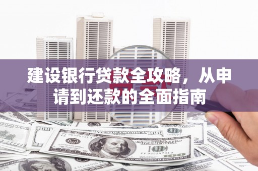 玉树建设银行贷款全攻略，从申请到还款的全面指南