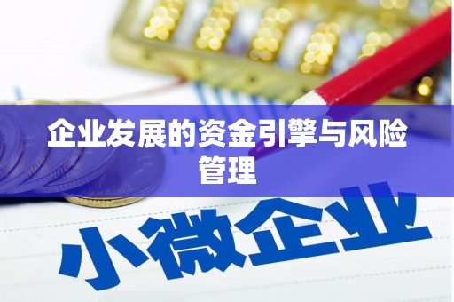 玉树企业发展的资金引擎与风险管理