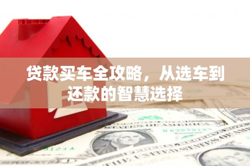 玉树贷款买车全攻略，从选车到还款的智慧选择