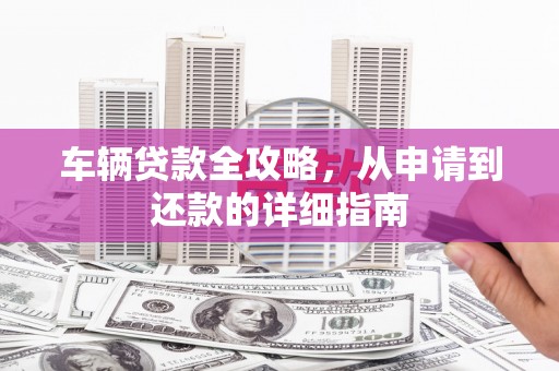 玉树车辆贷款全攻略，从申请到还款的详细指南