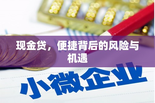 玉树现金贷，便捷背后的风险与机遇