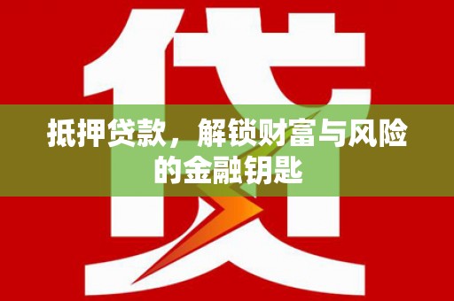 玉树抵押贷款，解锁财富与风险的金融钥匙