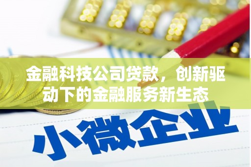 玉树金融科技公司贷款，创新驱动下的金融服务新生态