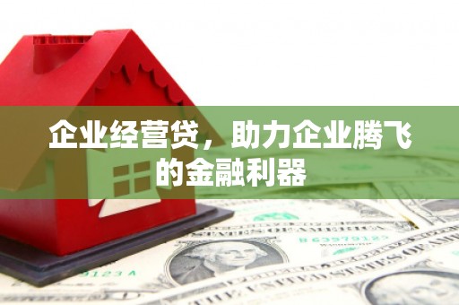 玉树企业经营贷，助力企业腾飞的金融利器