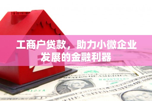 玉树工商户贷款，助力小微企业发展的金融利器