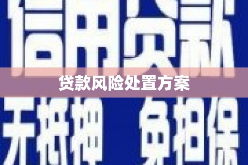 玉树贷款风险处置方案