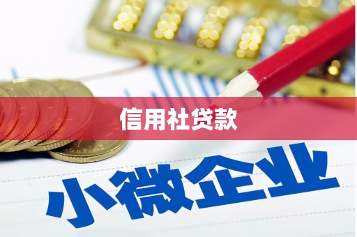 玉树信用社贷款