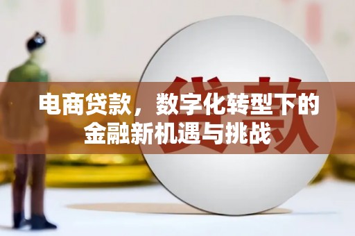 玉树电商贷款，数字化转型下的金融新机遇与挑战