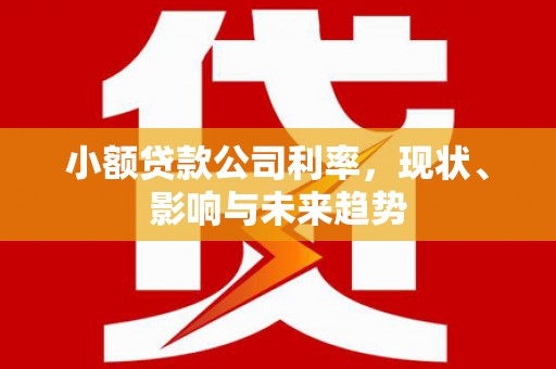 玉树小额贷款公司利率，现状、影响与未来趋势