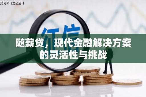 玉树随薪贷，现代金融解决方案的灵活性与挑战