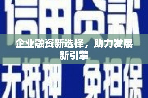 玉树企业融资新选择，助力发展新引擎