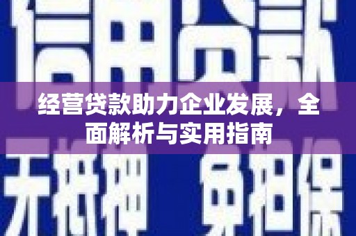 玉树经营贷款助力企业发展，全面解析与实用指南