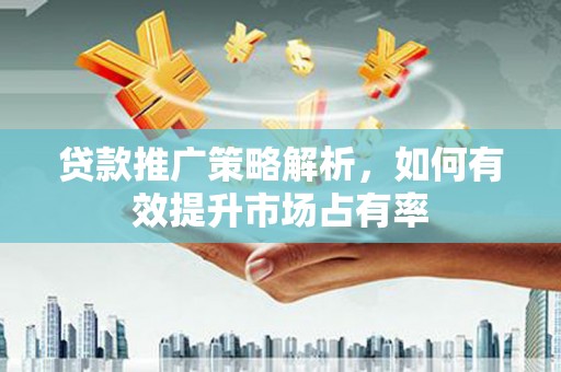 玉树贷款推广策略解析，如何有效提升市场占有率
