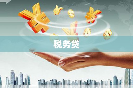 玉树税务贷